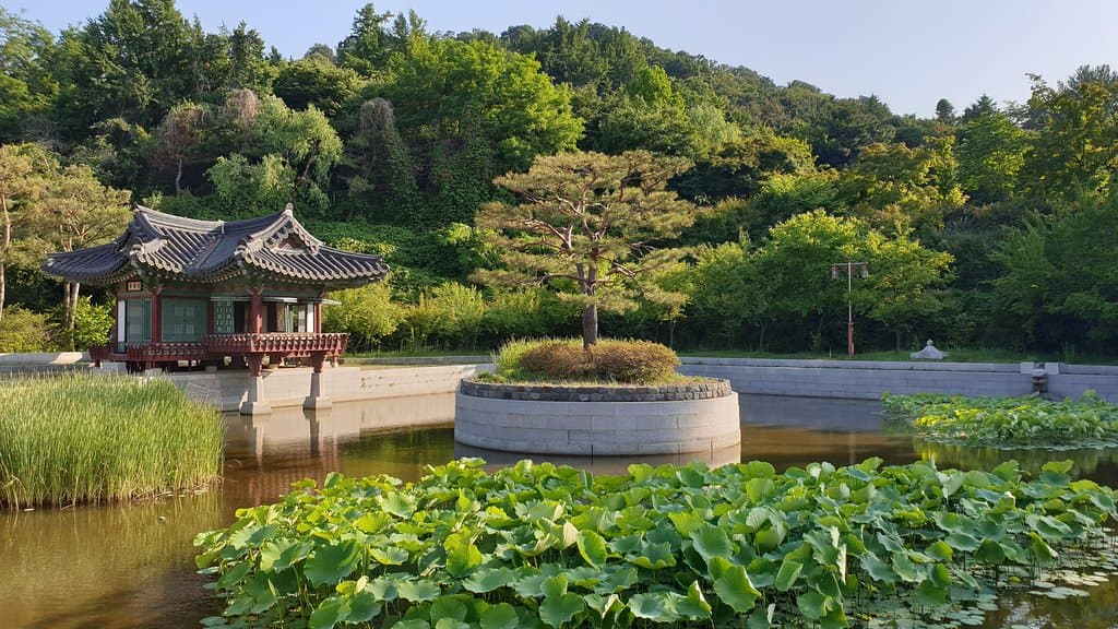 garden