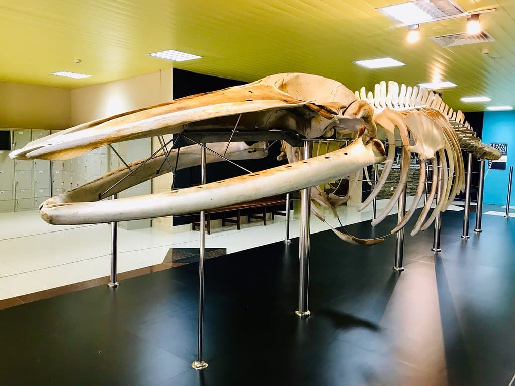 Brunei Maritime Museum