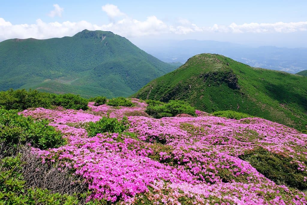 中岳から白口岳、大船山を望む。