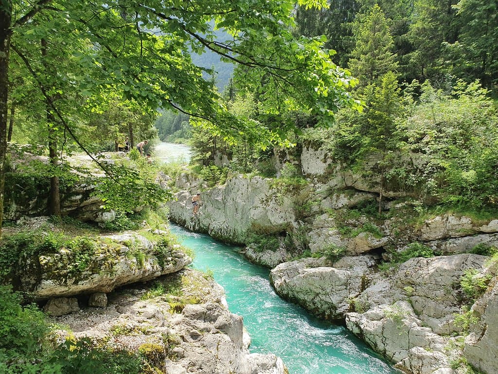 activities in the river