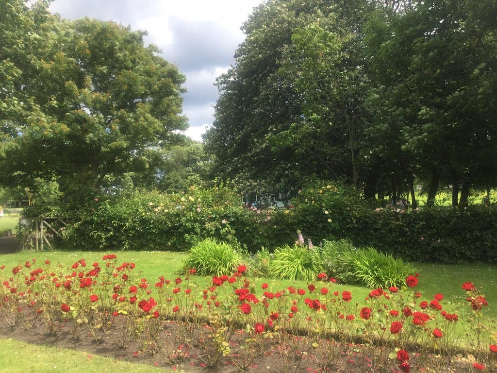 Ridley Park Blyth