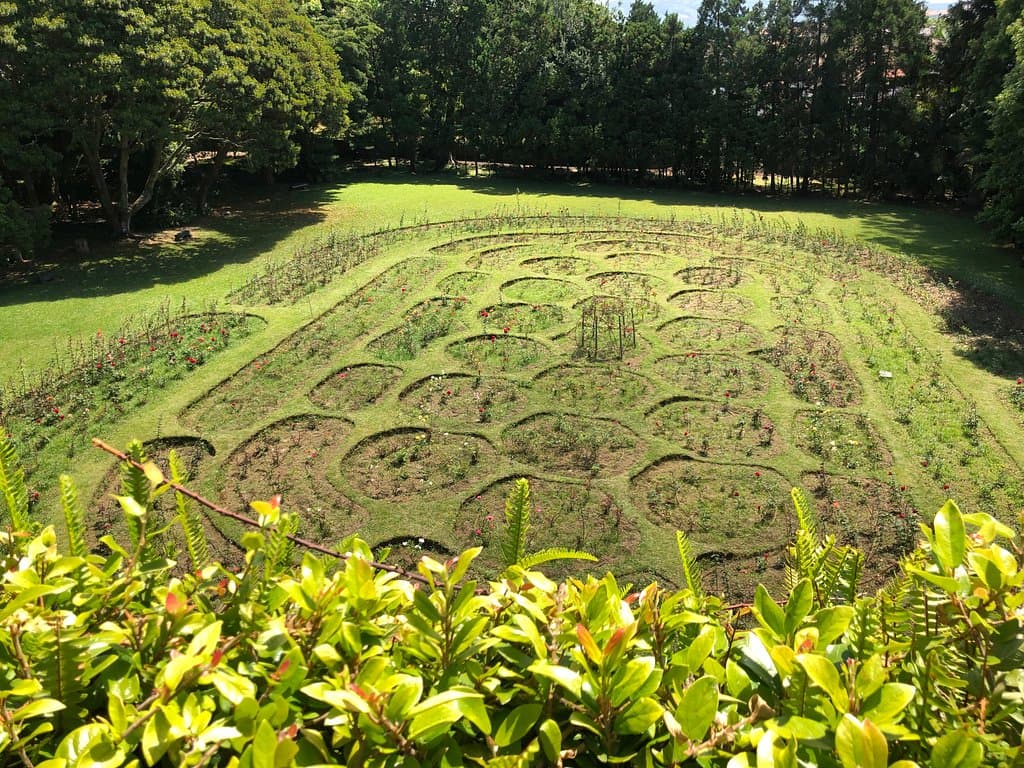 Rose Garden