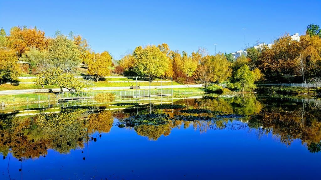 Jerusalem Botanical Gardens