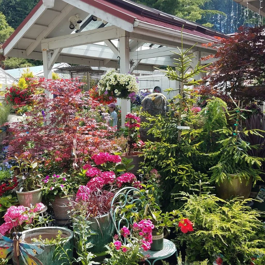 Bainbridge Gardens