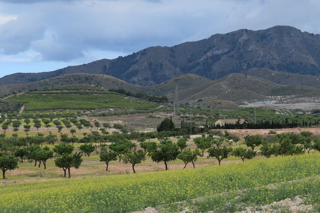 Farmland views in the La Pinilla area the Via Verde de Mazarron passed through