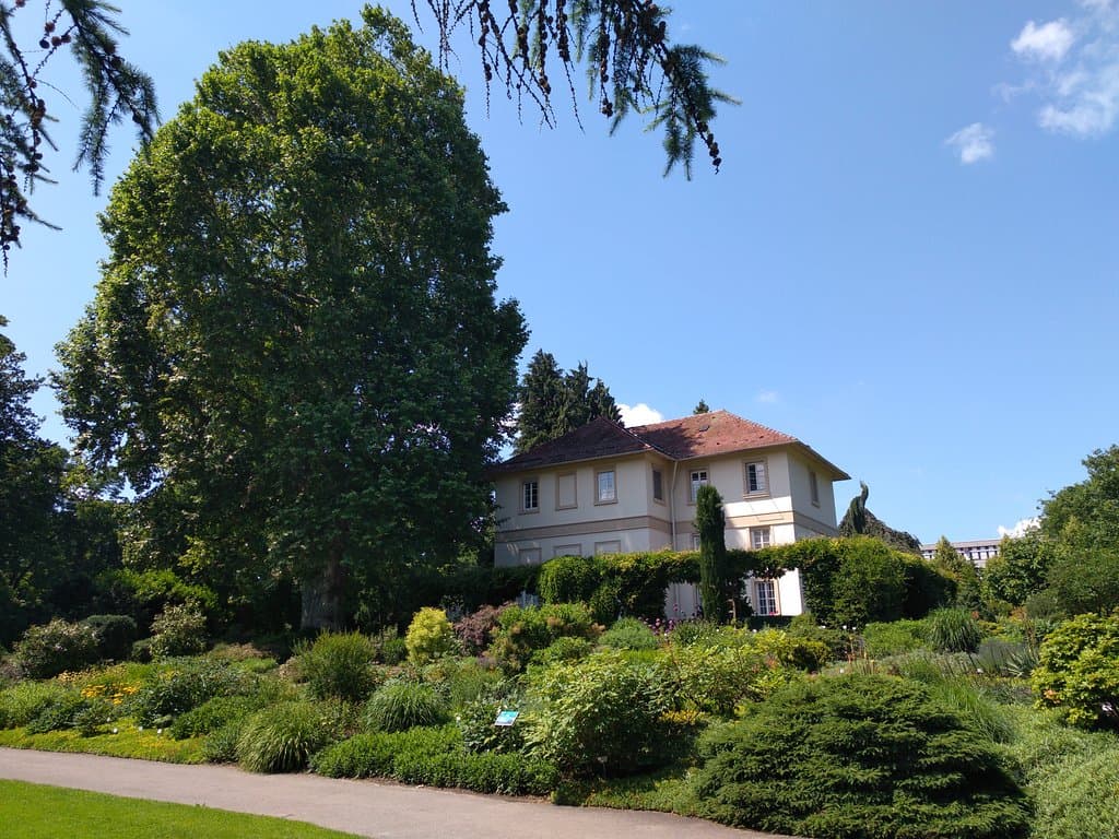 сохранившееся здание допотопных времен.