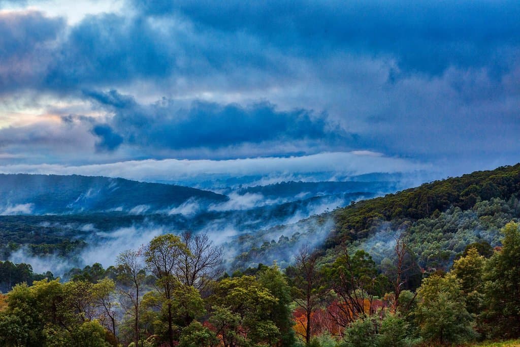 RJ Hamer foggy sunrise