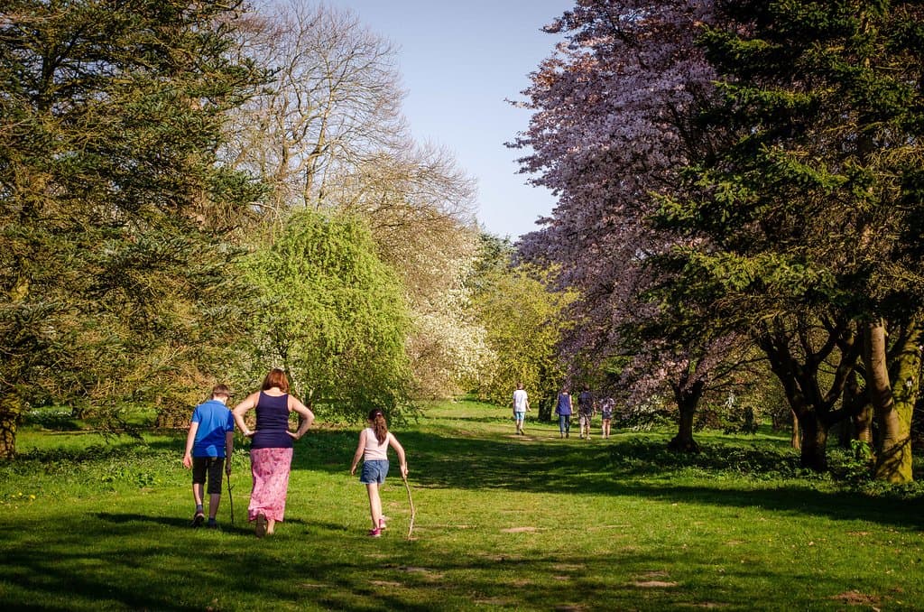 Family visit to the arboretum in spring 2019.