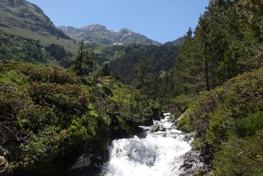 Le ruisseau du Rioumajou au dessus de l'hospice