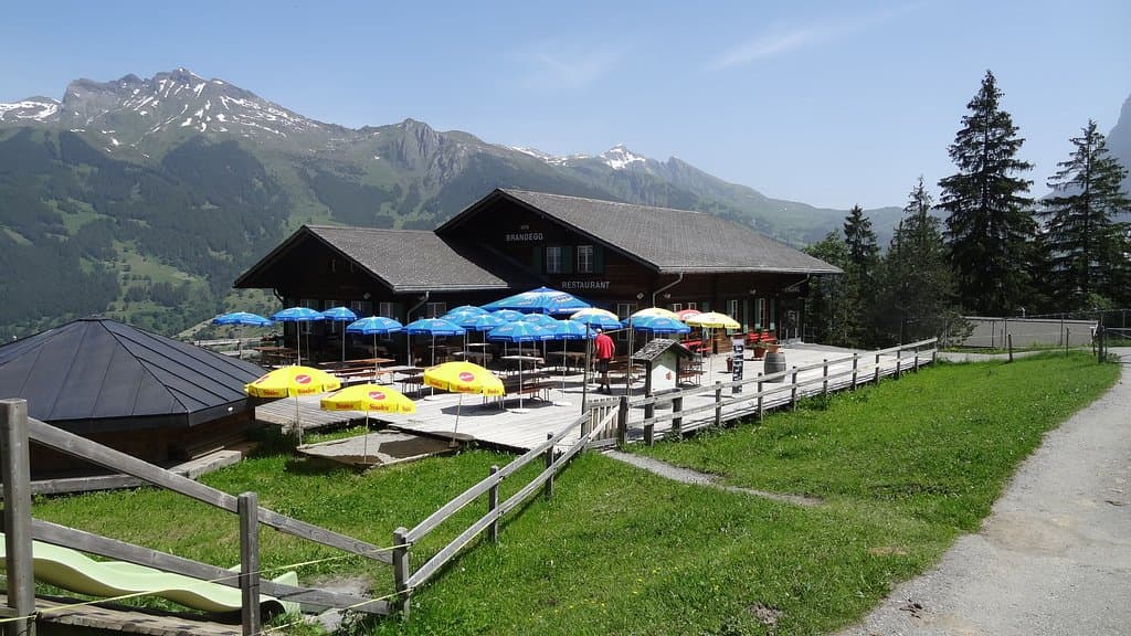 The restaurant.
