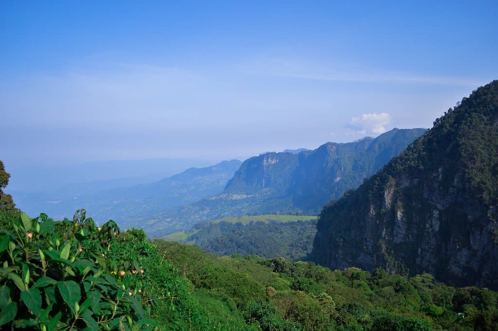 Excelente lugar para ir a caminar