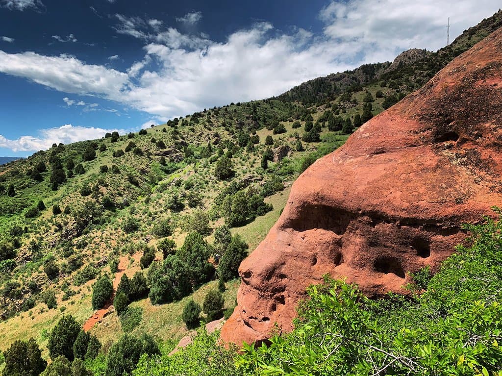 Matthews Winters Park