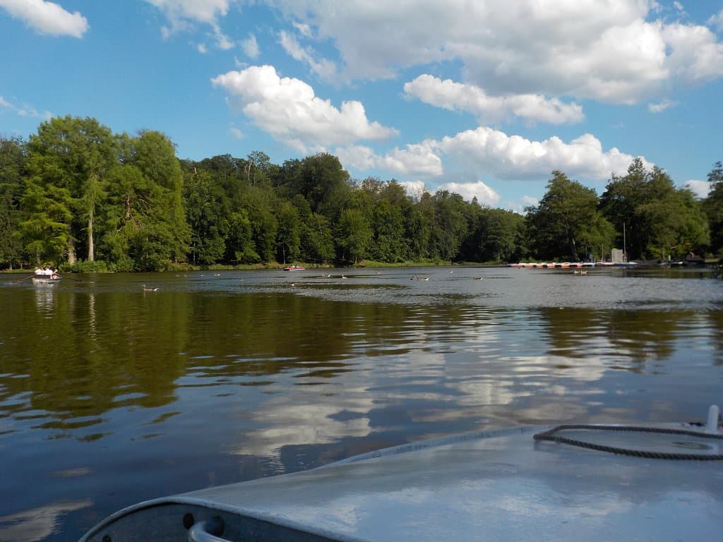 Oberwaldhaus & Steinbrücker Teich