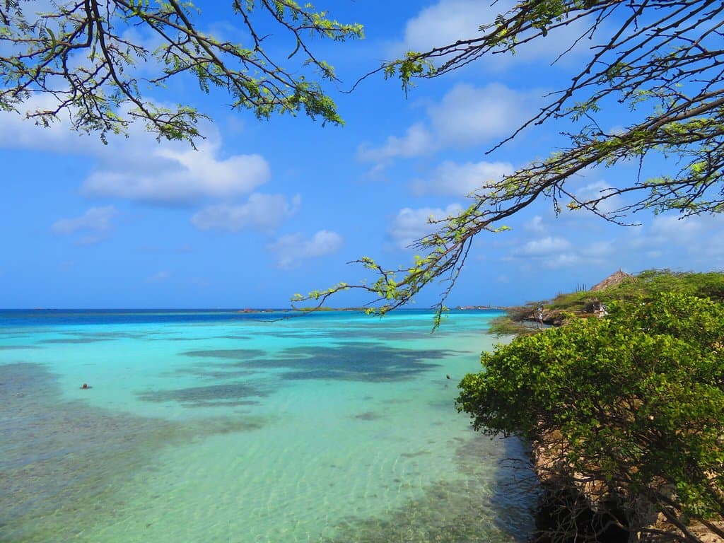 Mangel Halto Aruba