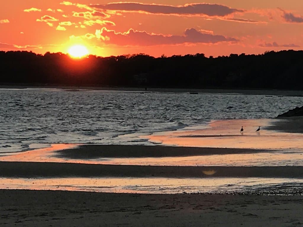 an Indian Neck sunset