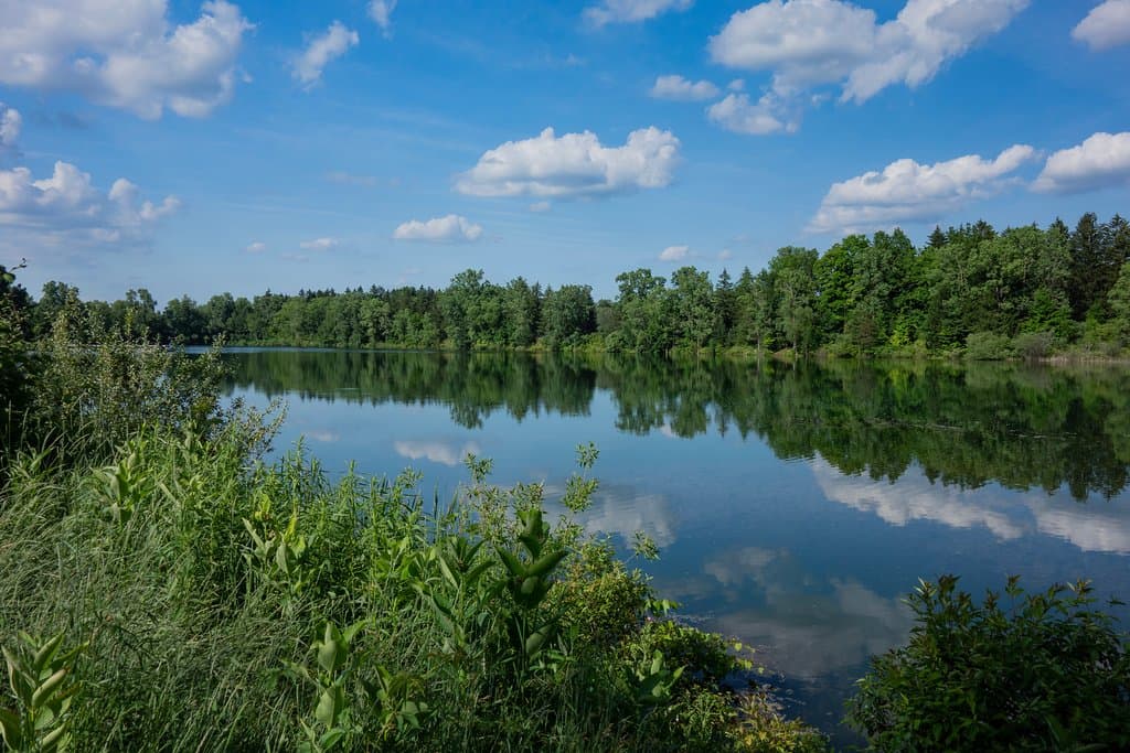 Crego Park lake area 