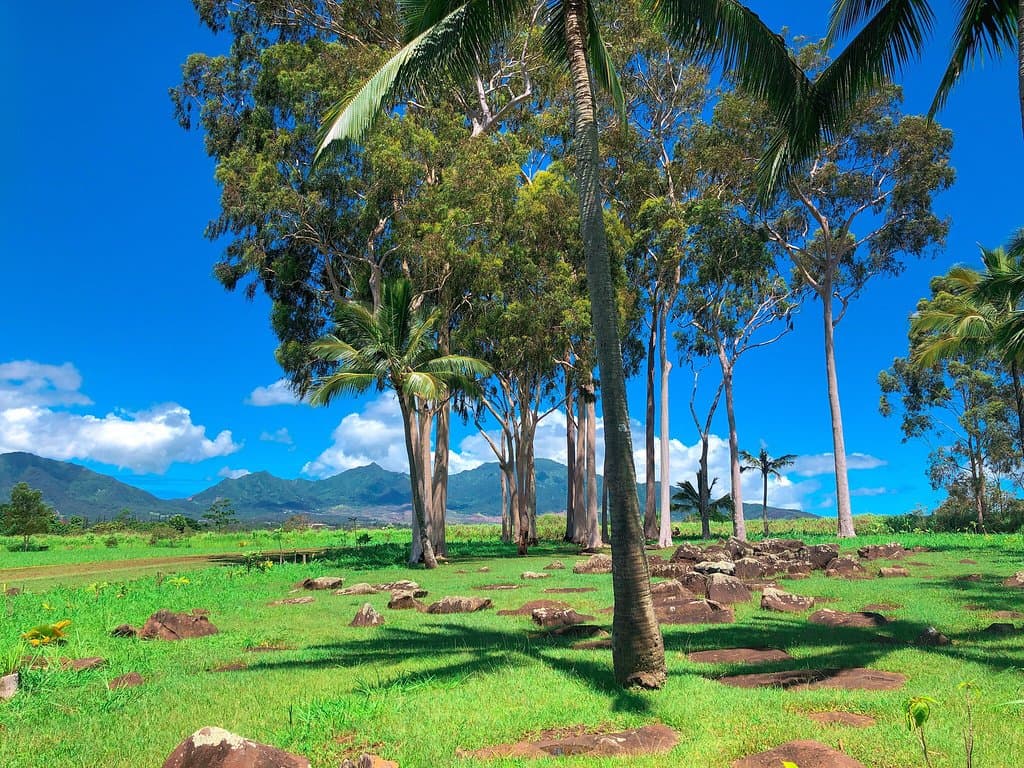 Kukaniloko Birthing Stones