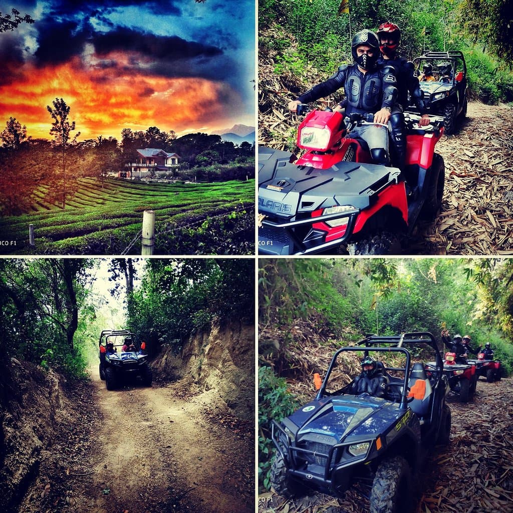 Looking for things to do in palampur, Activities near Mcloeganj, places visit near Dharamshala. Come visit Himalayan Adrenaline