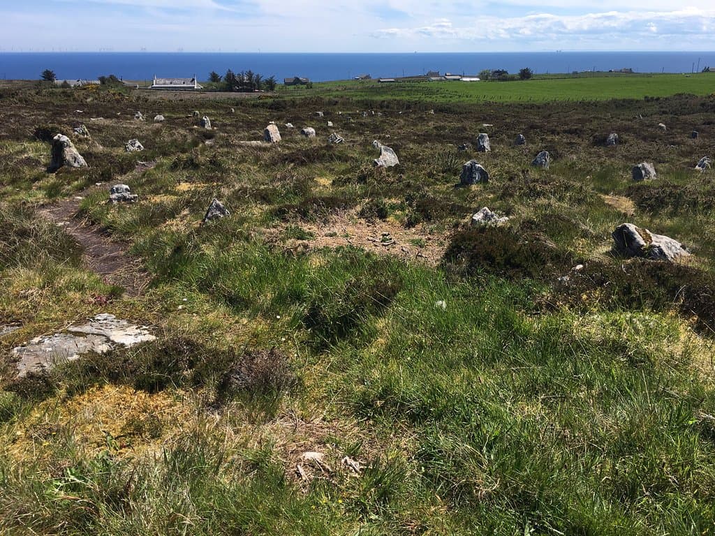 Hill O' Many Stanes