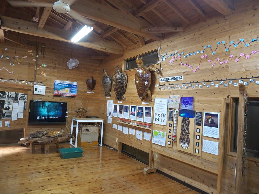 seaweed museum yakushima ０４