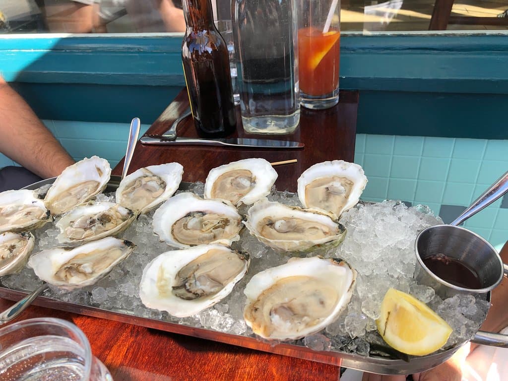 Oysters