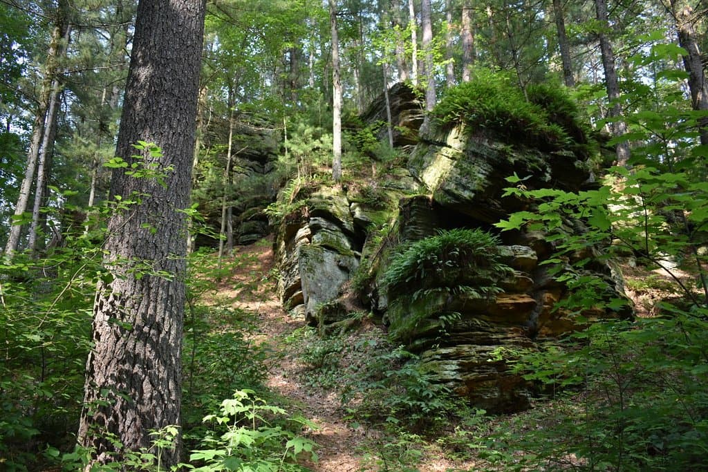 Rocky Arbor State Park Wisconsin