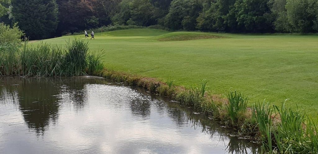 Downshire Golf Complex