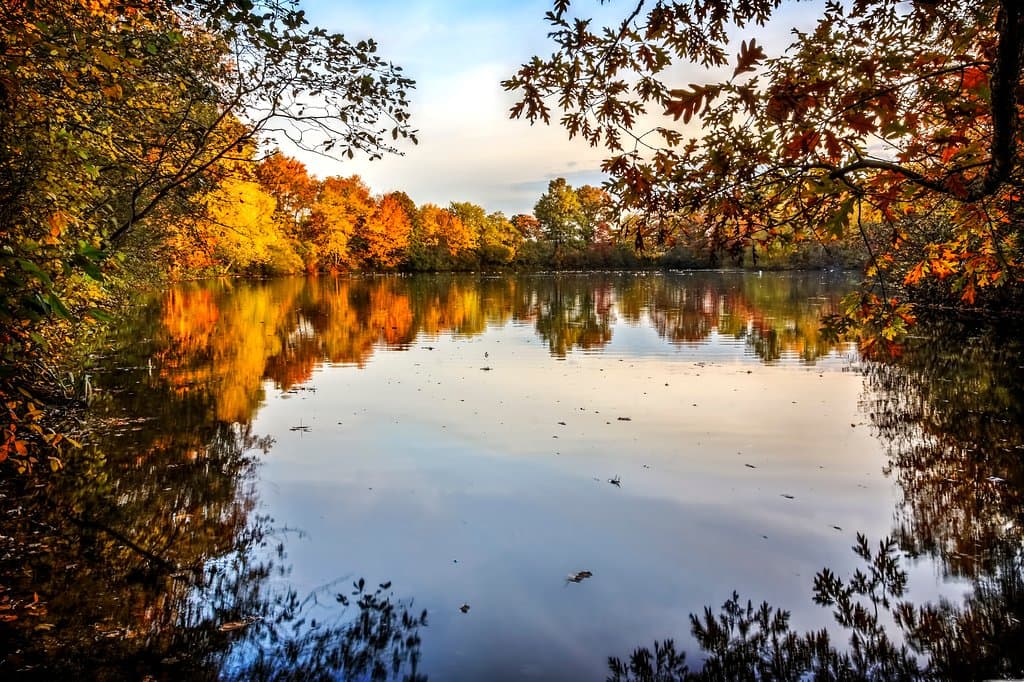 I took this last fall at the north lake. 