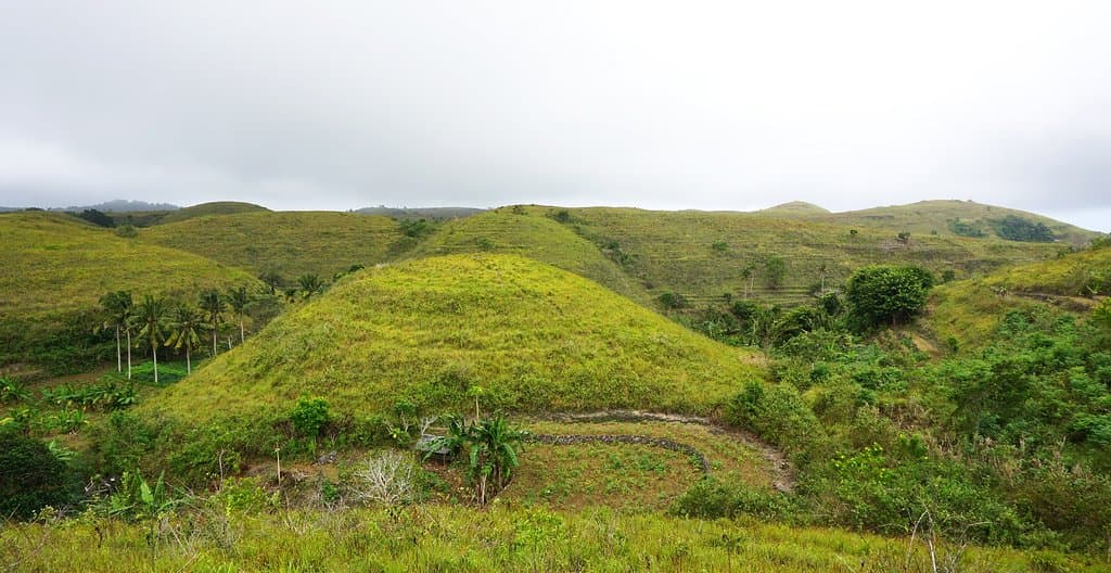Bukit Teletubbies