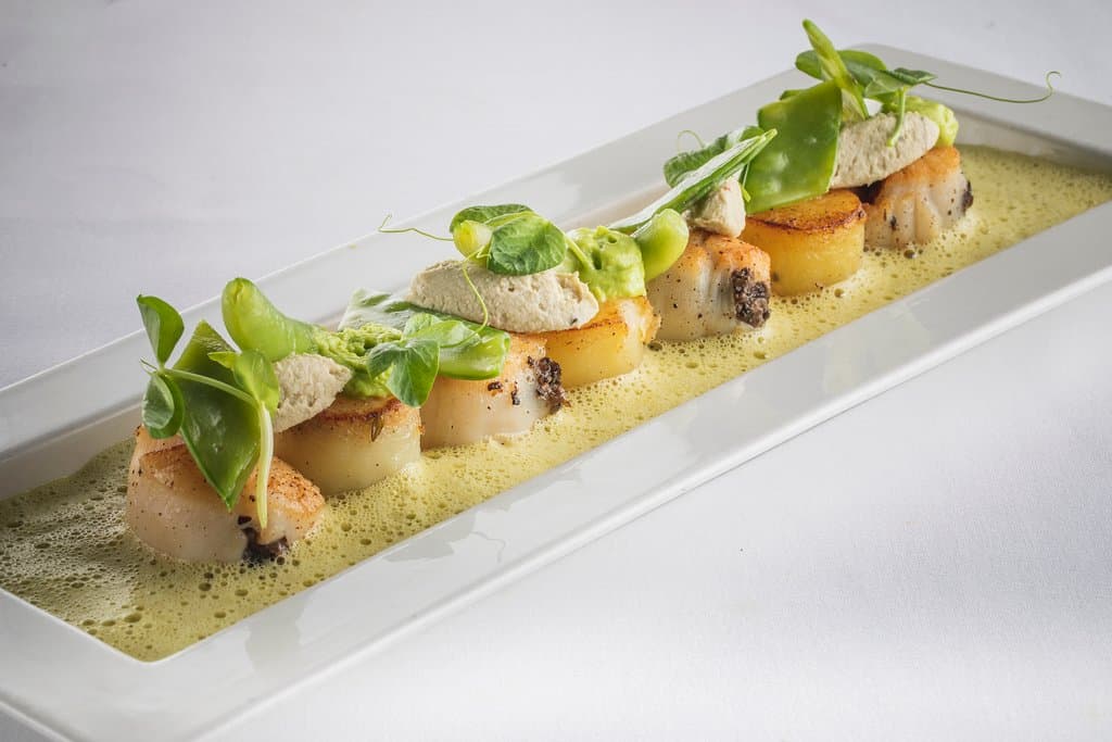 Pétoncles des Îles de la Madeleine

© André-Olivier Lyra