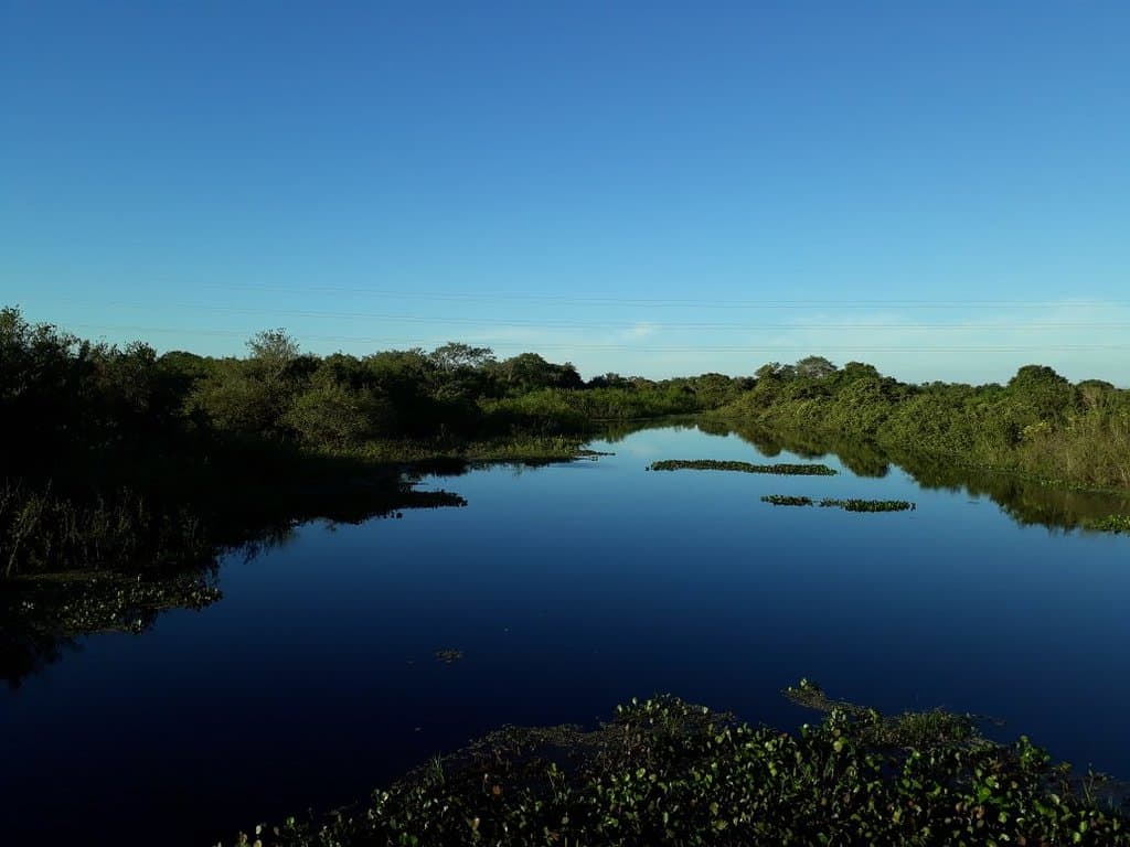 Estrada Parque Pantanal MS-184 MS-228