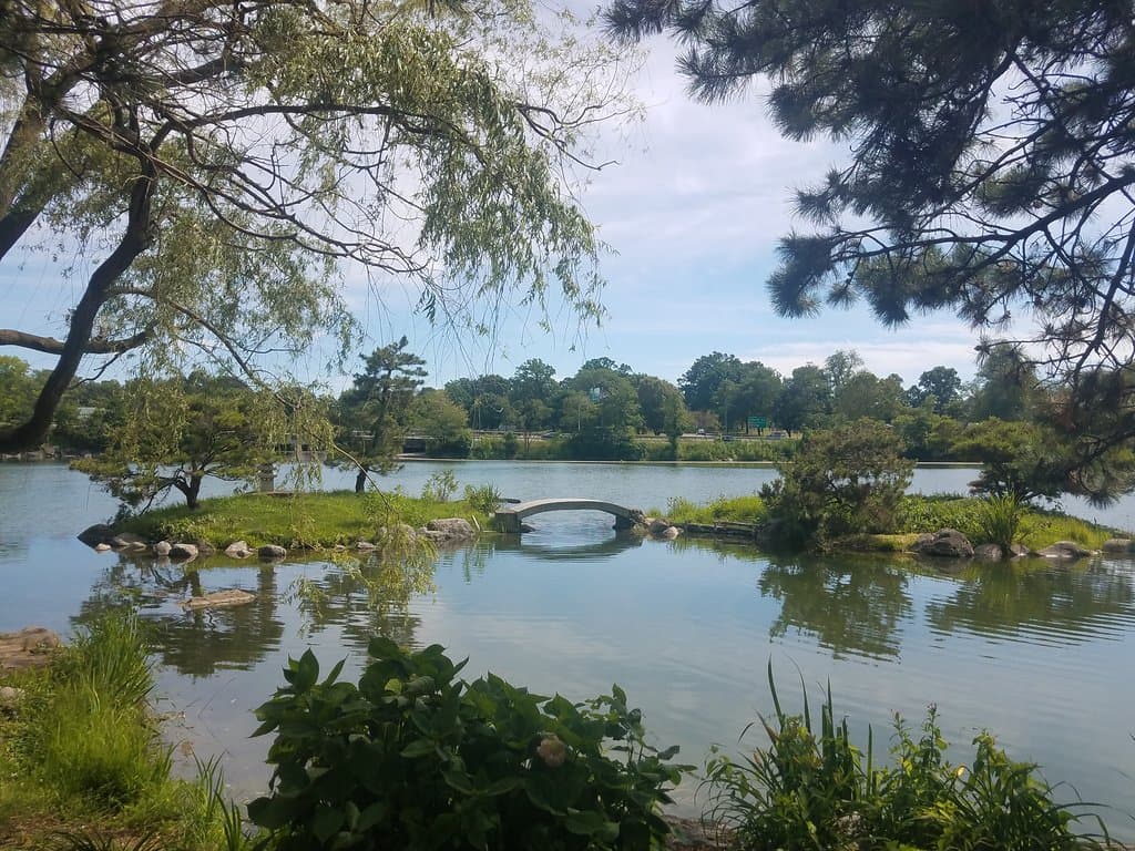 The Bridge