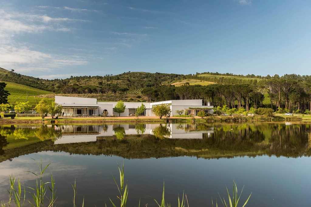 The Morgenster Wine and Olive Estate