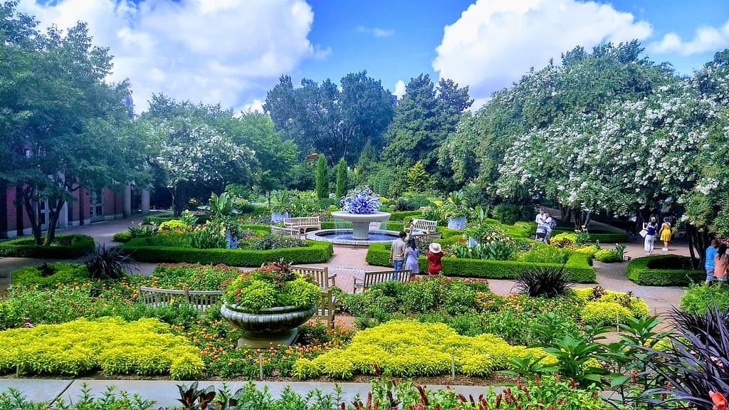 Vista panoramica de parte do local