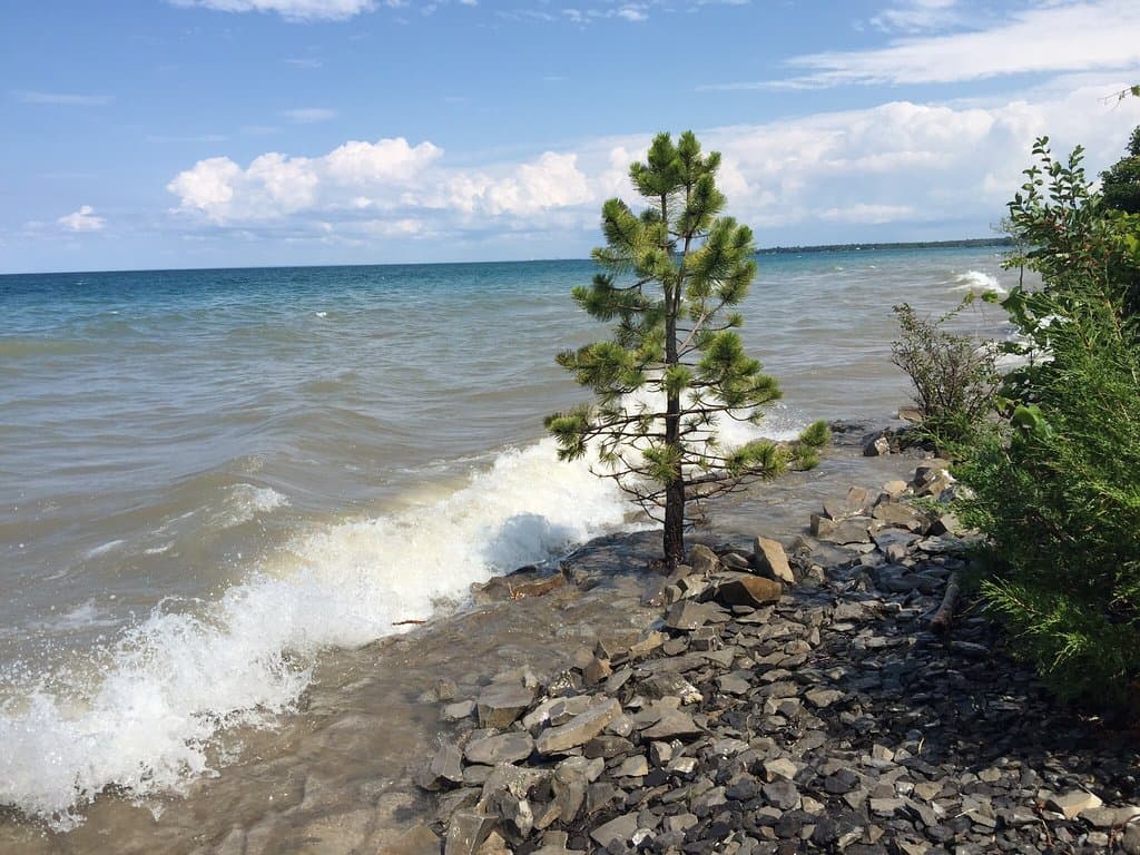 Mary Ward Shipwreck Site
