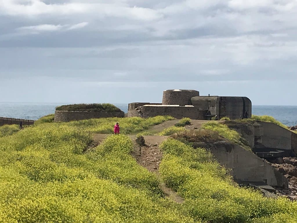 Fort Hommet