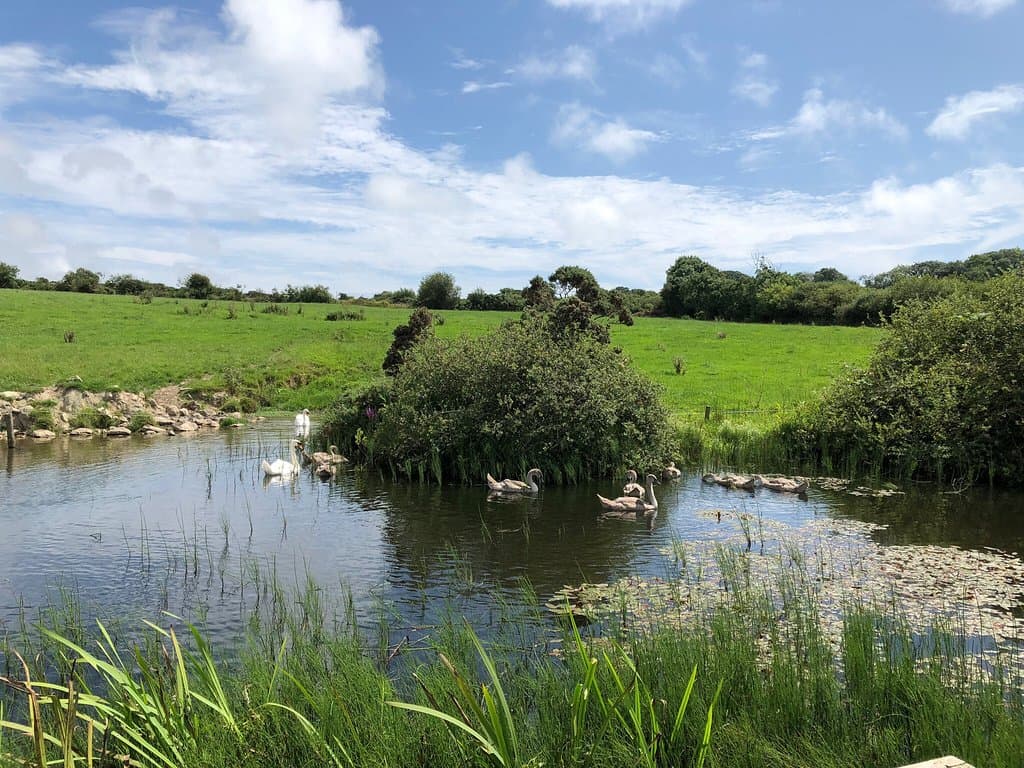Anne Valley Walk