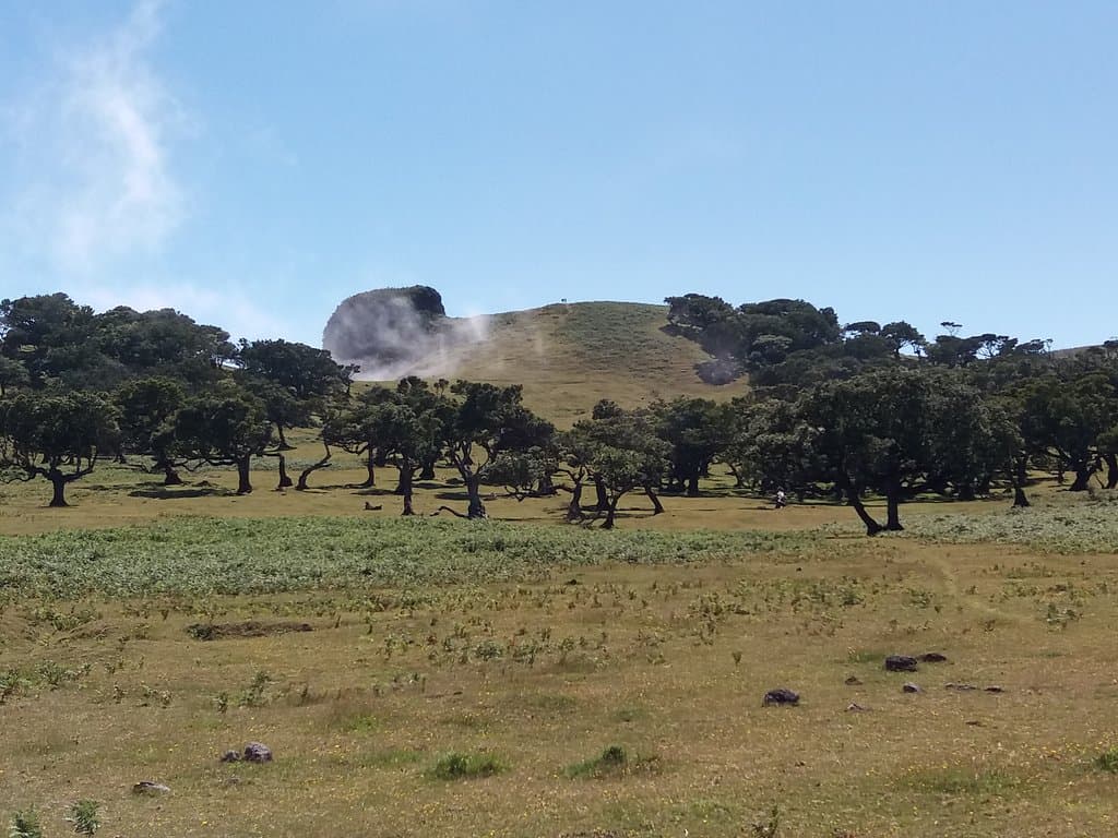 Vereda do Fanal PR13