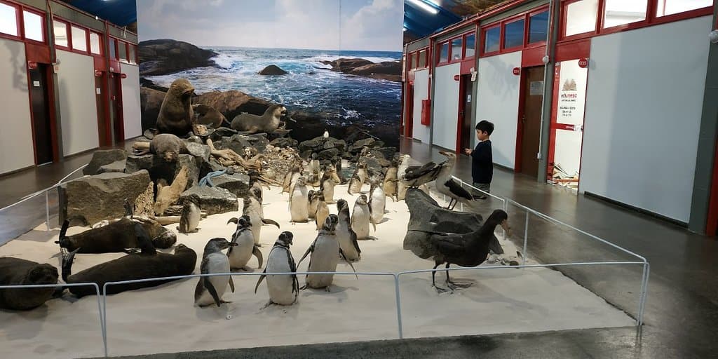 Museu de Arqueologia e Etnologia da UNESC Criciúma