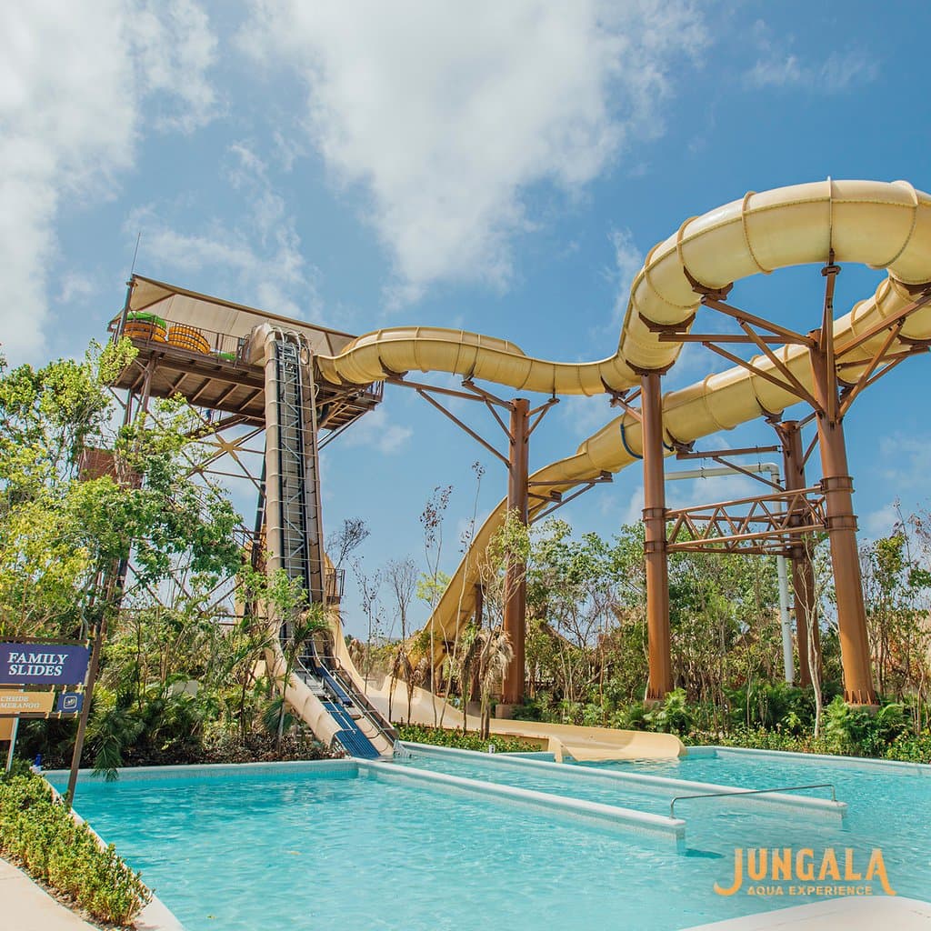 THE JUNGLE 
IS CALLING