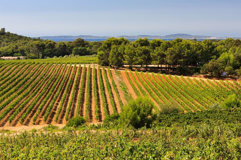 Figuière Domaine Saint-André