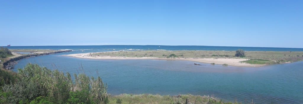 Pineta di Classe Ravenna