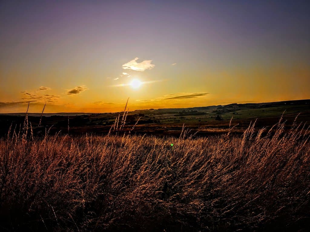 Baildon Moor