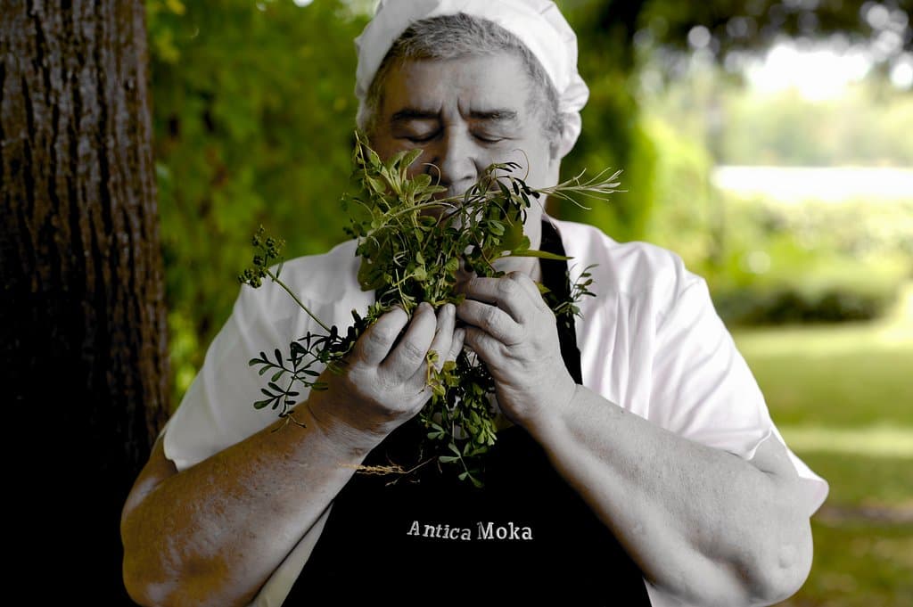 La Cuoca Annamaria Barbieri