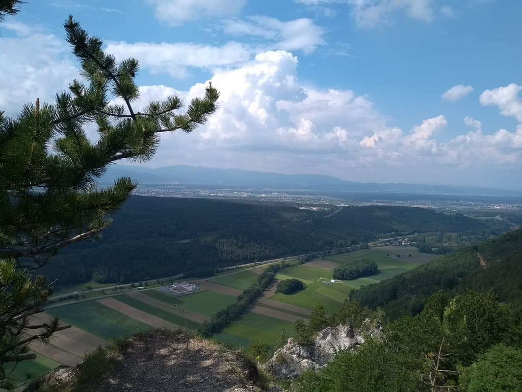 Ausblick