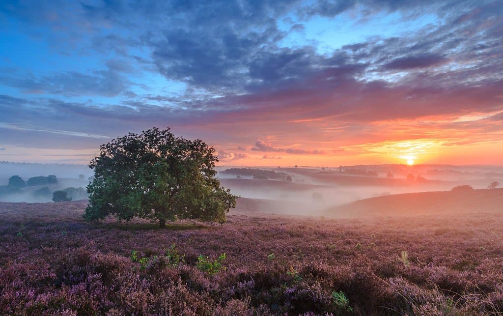 Het park is toegankelijk na  zonsopkomst en tot zonsondergang
