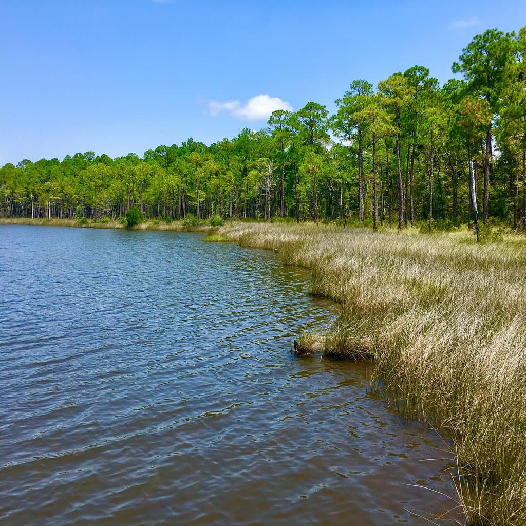 Jones Swamp Wetland Preserve