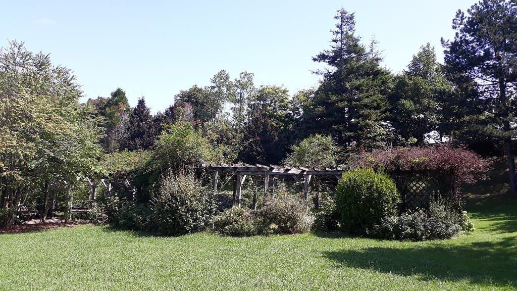 Parc Ducontenia