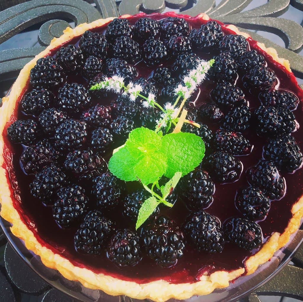 Blackberry tart made with blackberries picked at Patty’s berries and bunches, Mattituck NY