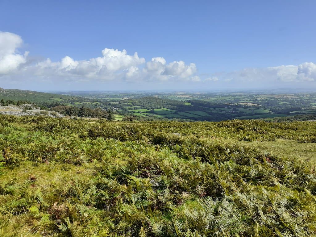Cheesewring Tor